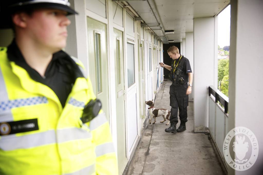 Police raid club, no arrests made