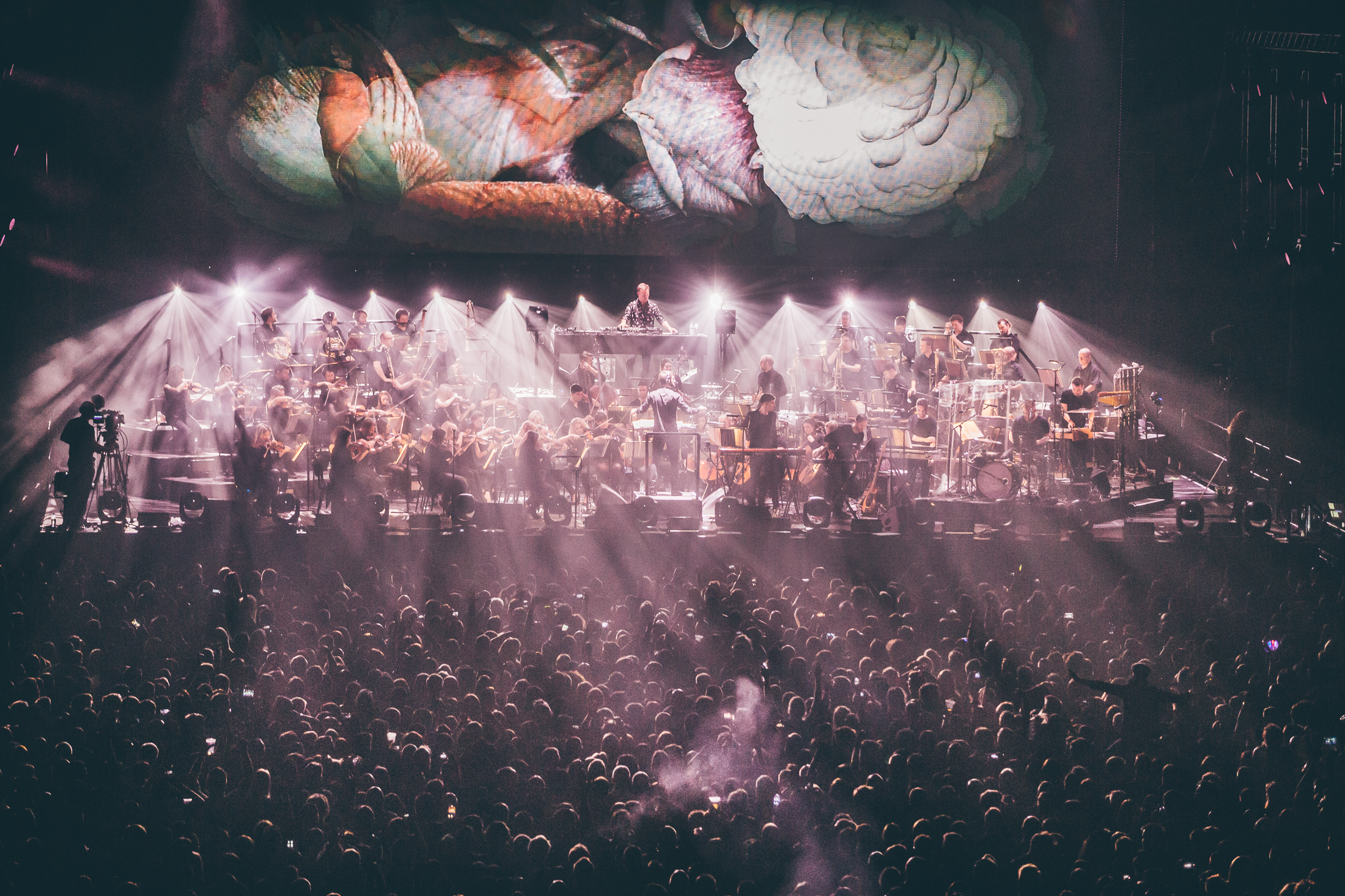 Pete Tong & The Heritage Orchestra – Ibiza Classics