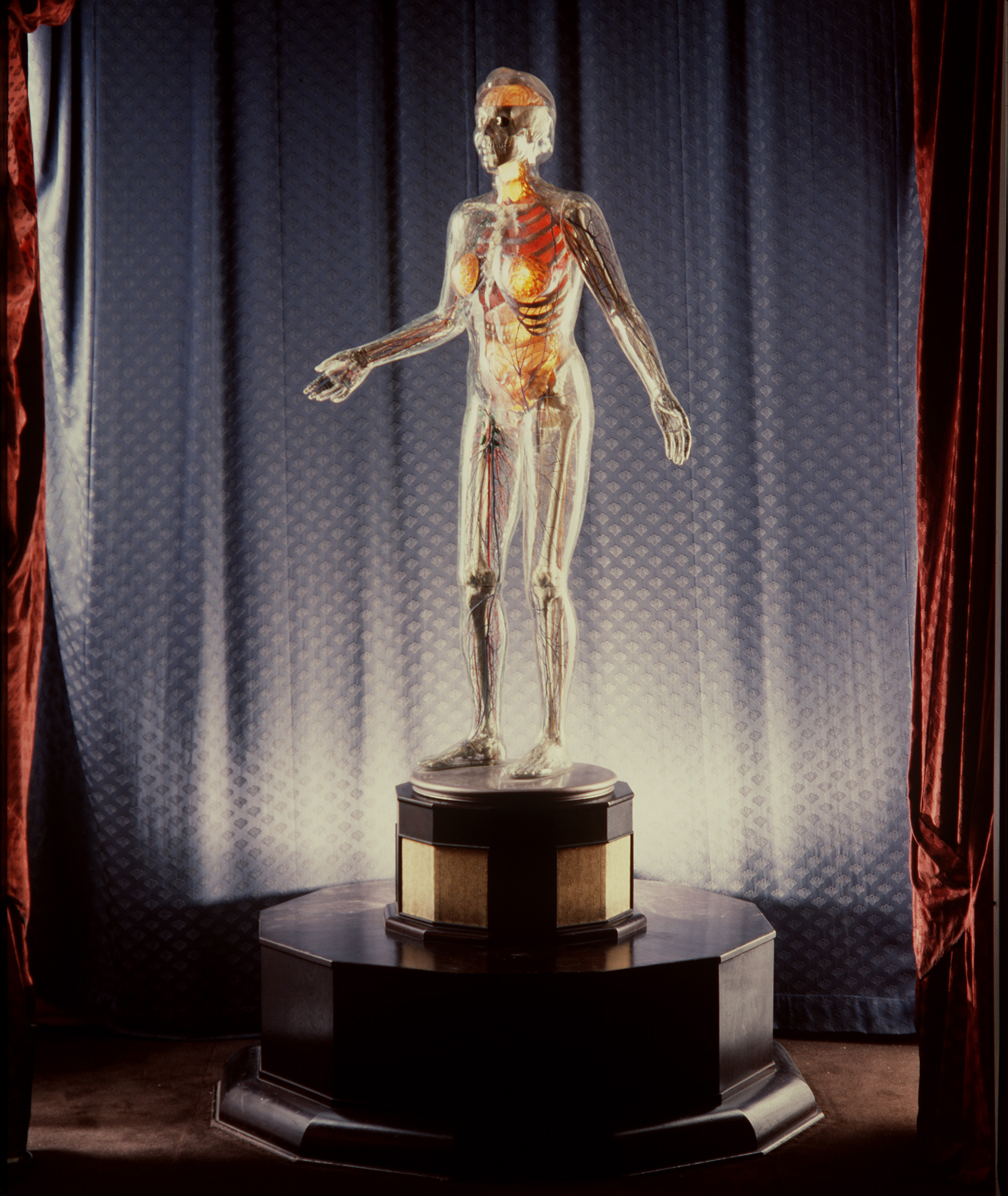 THE NAKED CITY – THE AMAZING TRANSPARENT WOMAN