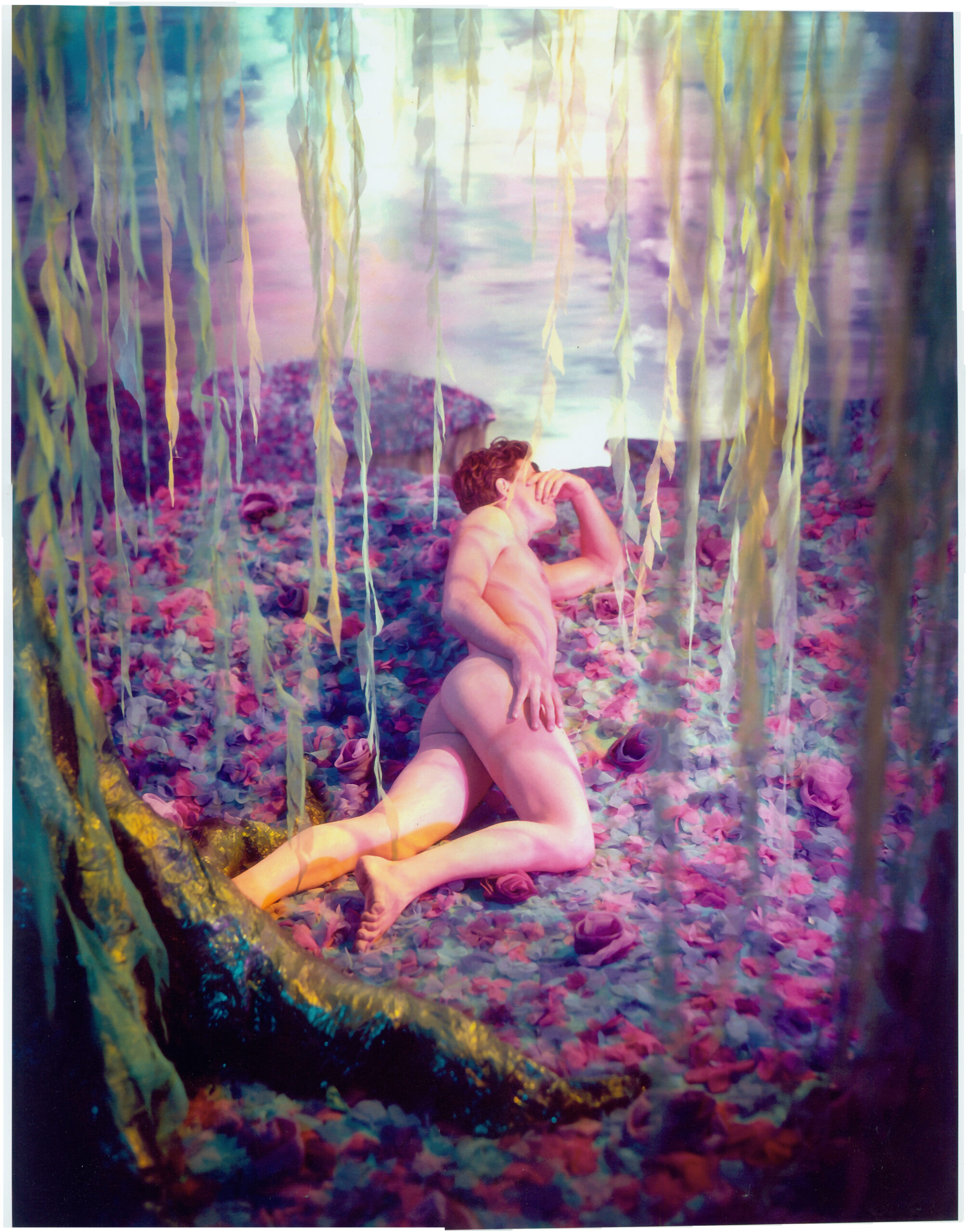 The Unflinching Gaze: Photomedia & The Male Figure