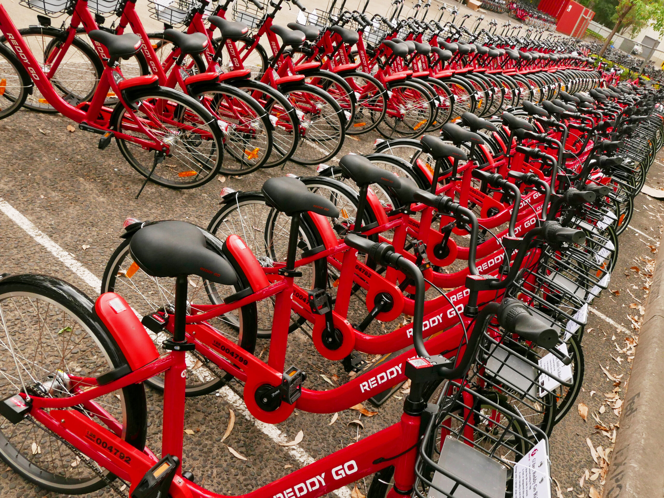 Authorities tyre of hire bikes