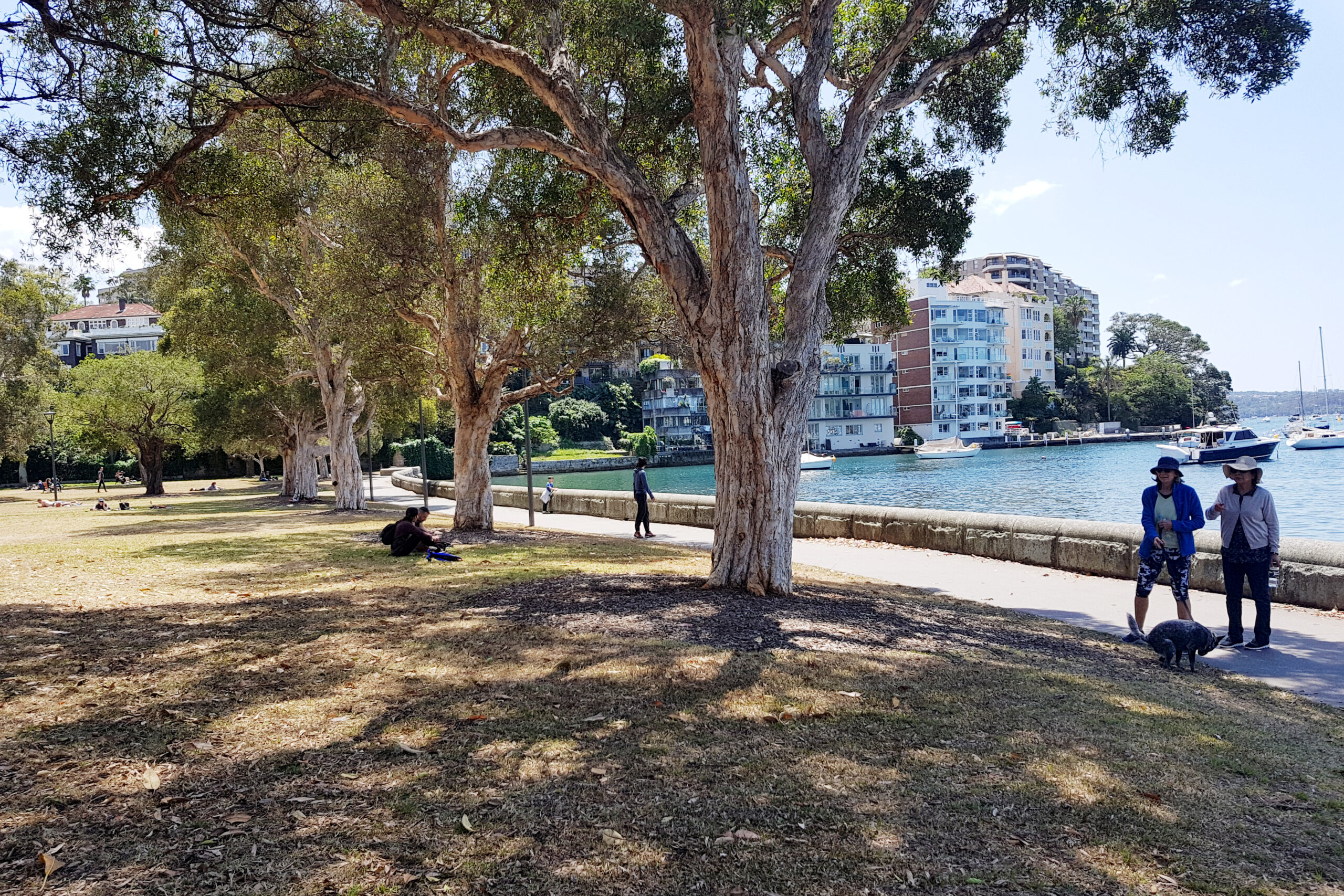 Woollahra Council does 180 on skatepark