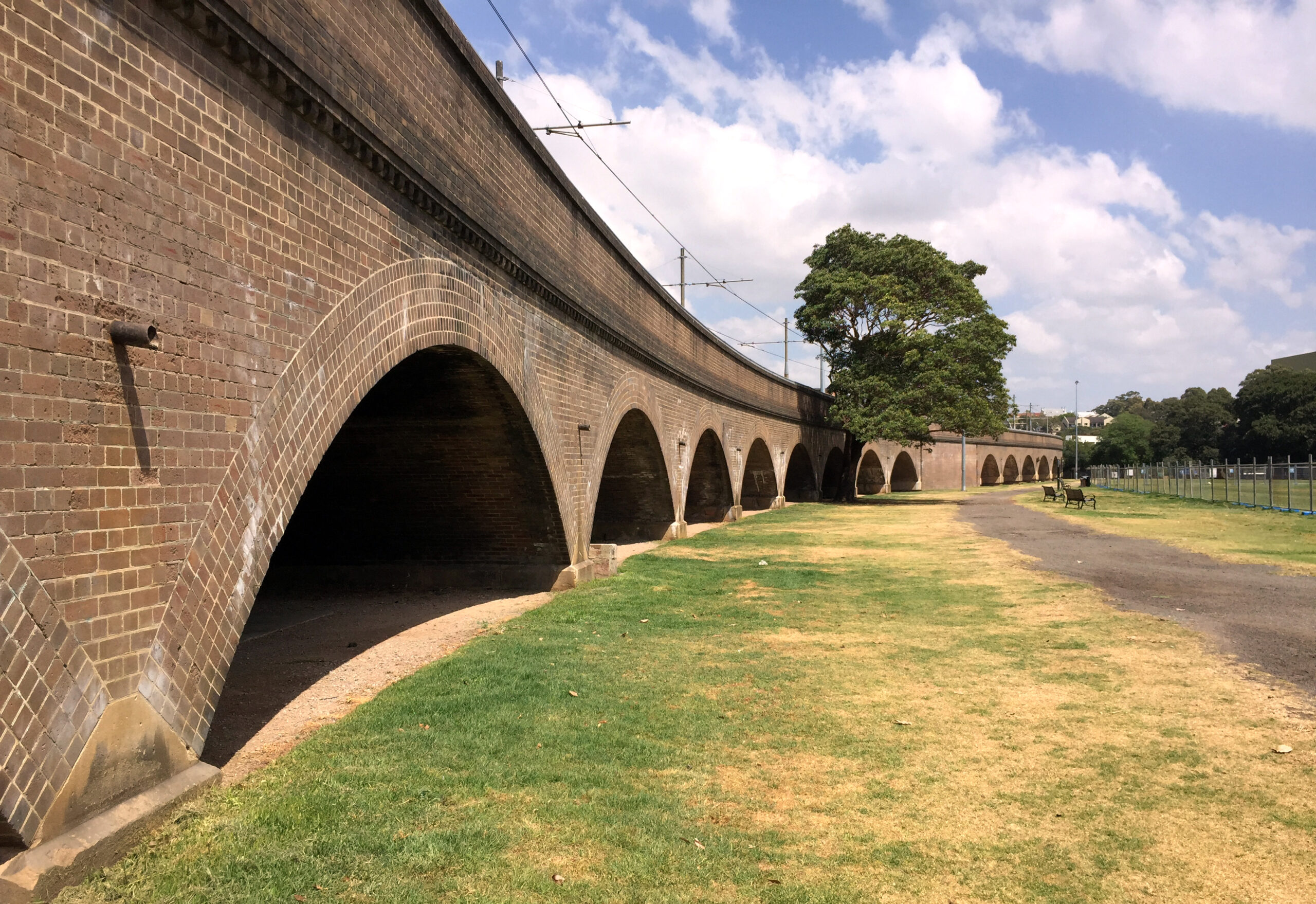 Homeless hounded in park
