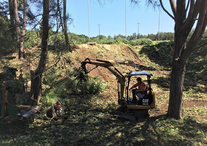 Communication fell with trees at Callan Park