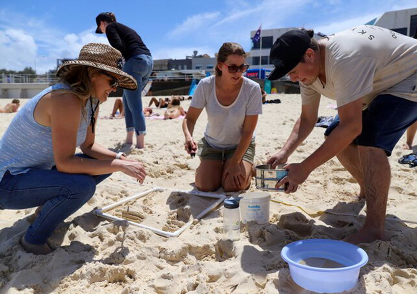 Bondi microplastic audit an “eye opener,” says mayor