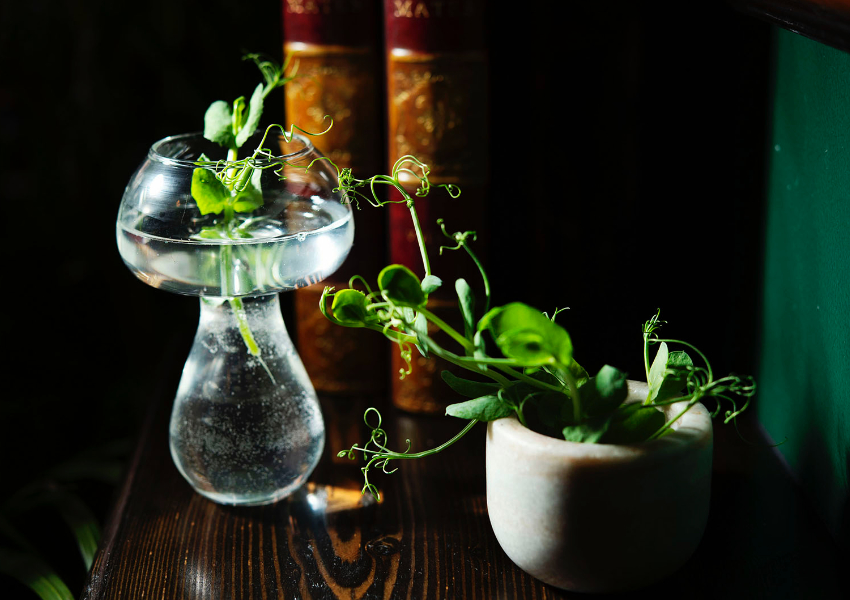 BEST DELIVERY COCKTAILS – Old Mates Place