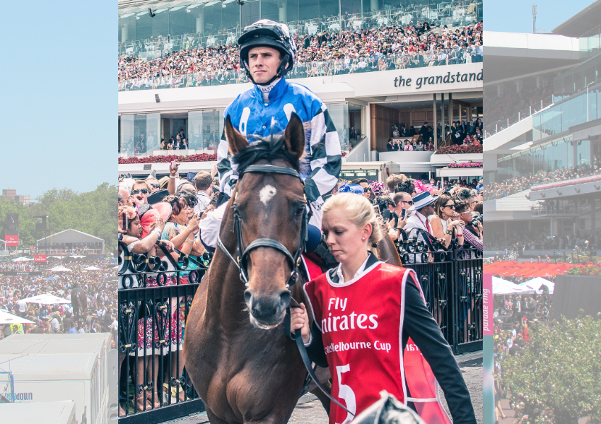 Cruelty To Animals And Horses