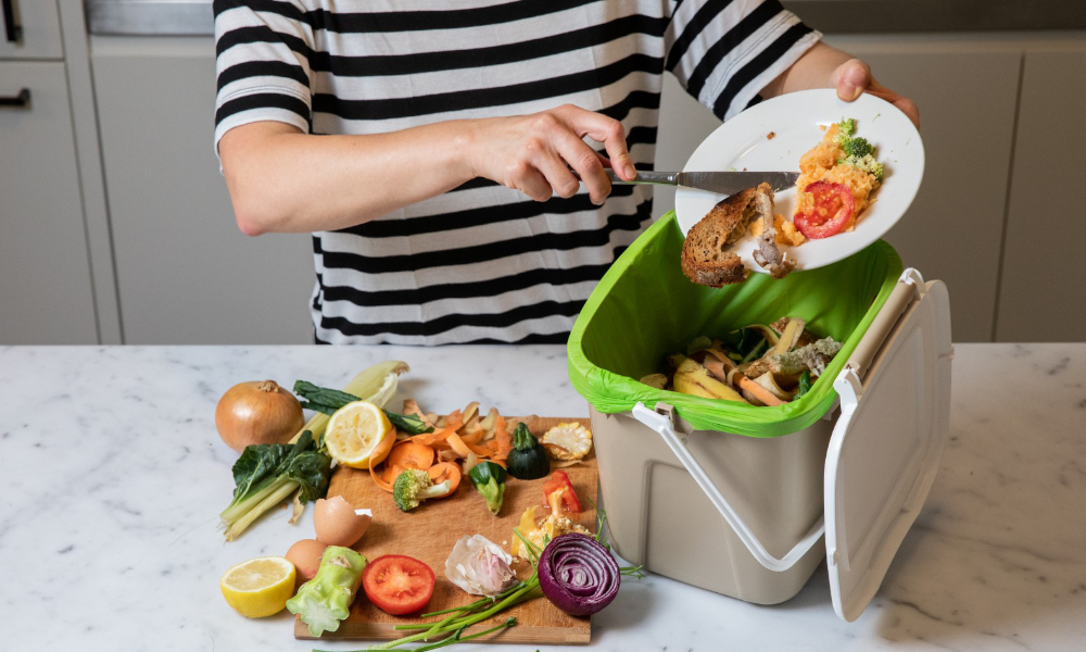 Waverley residents offered subsidised compost bins and wormfarms, as FOGO measures roll on in neighbouring councils