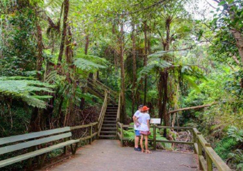 Fresh Air Walk – FRED HOLLOWS RESERVE