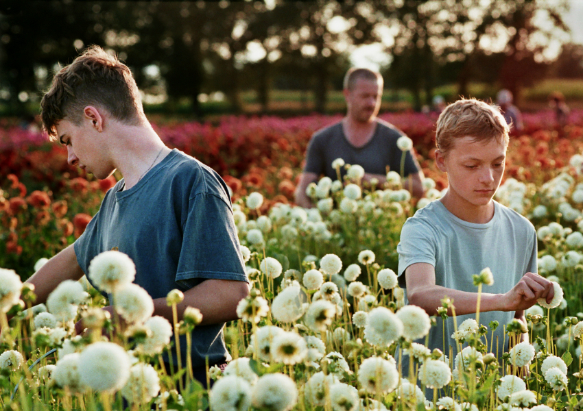 Sydney Film Festival Award Winners Announced