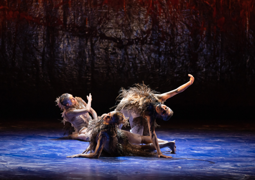 NAIDOC WEEK REVIEW: Bangarra’s Sandsong – Stories from the Great Sandy Desert