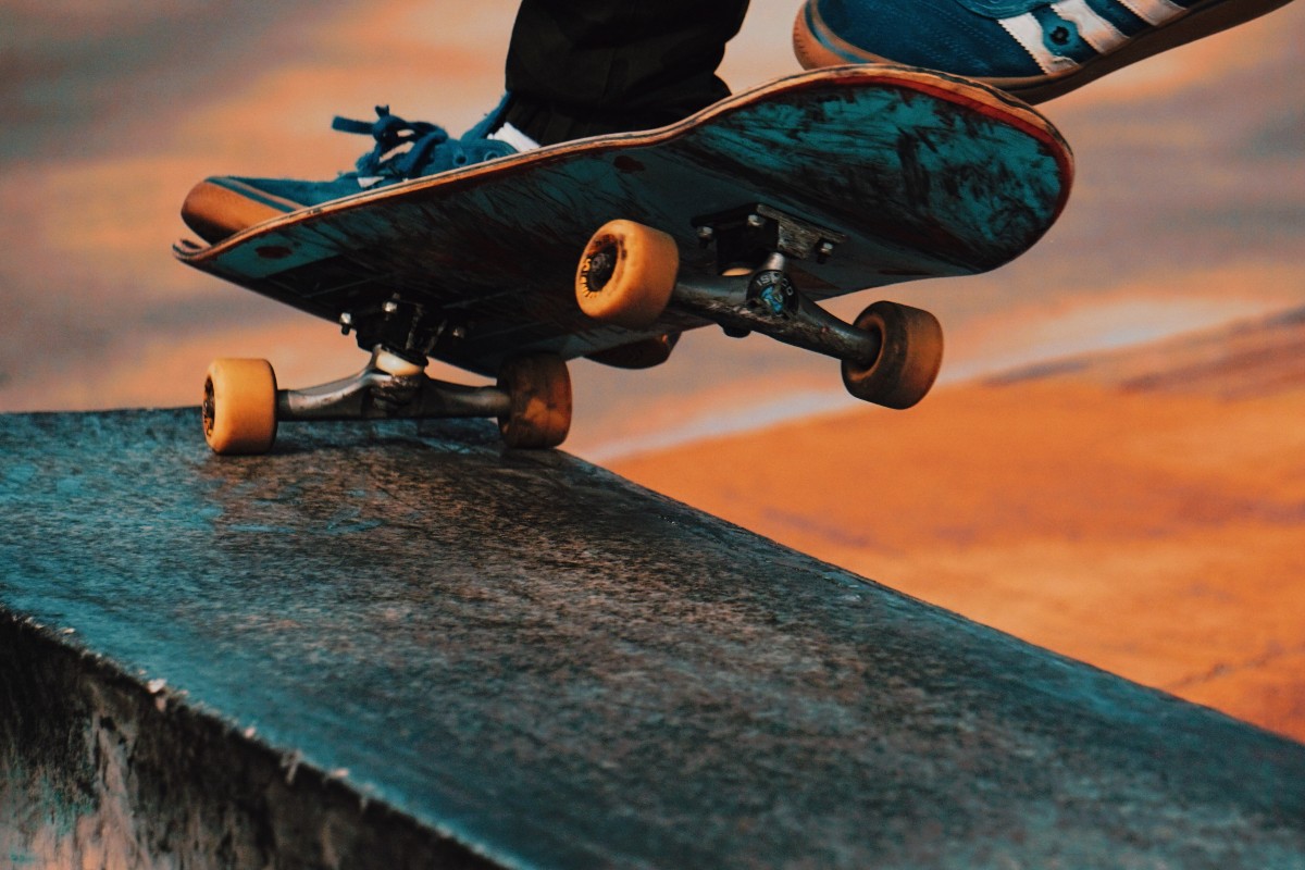 45 trees removed to make way for long contested Leichhardt Skate Park