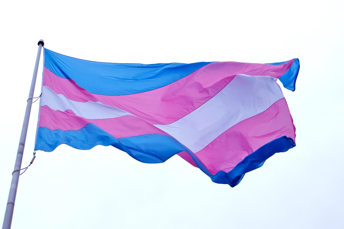 “No one should miss out”: Trans and gender diverse swim event confirmed at Cook and Phillip Park pool