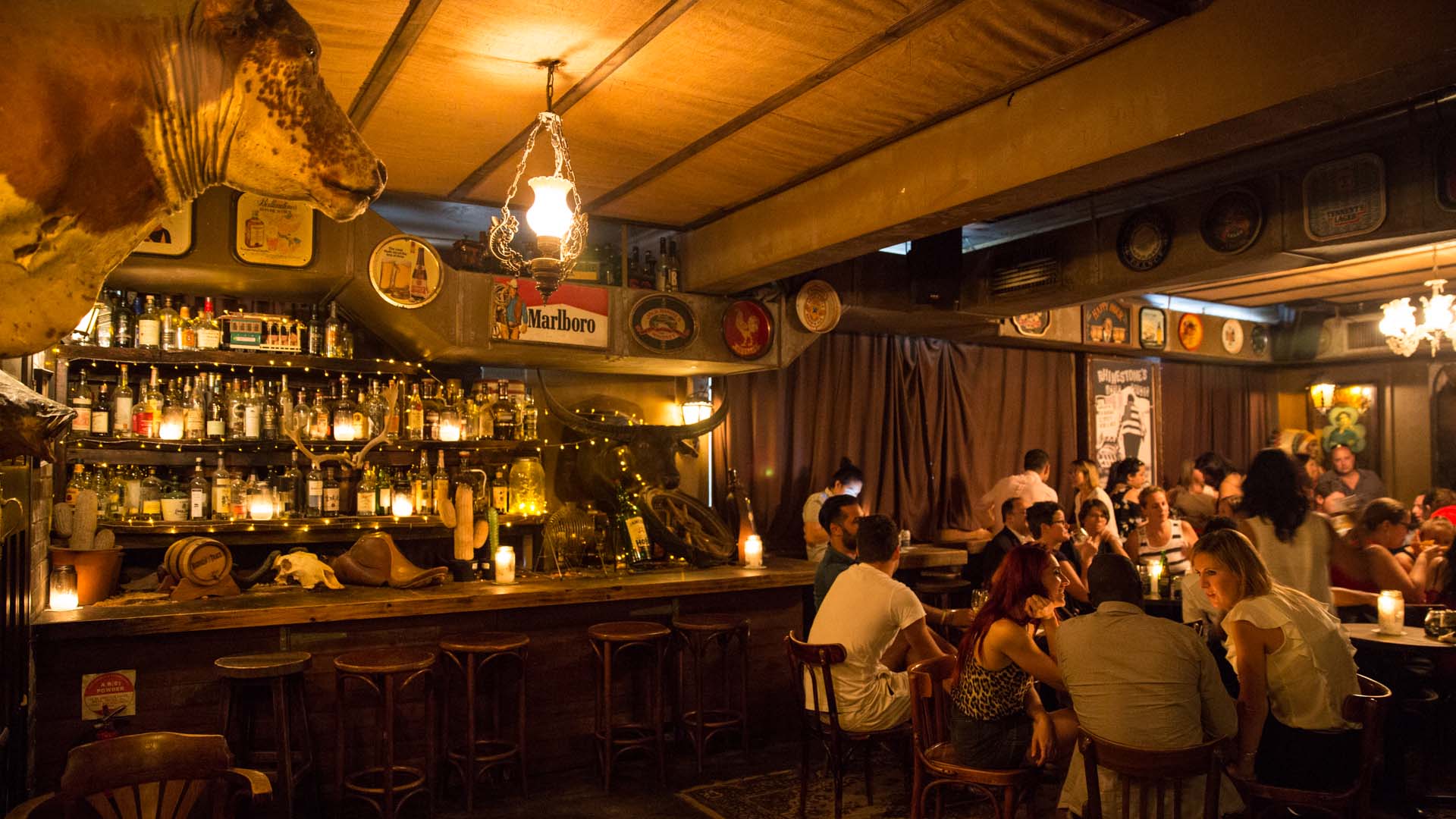 SHADY PINES SALOON