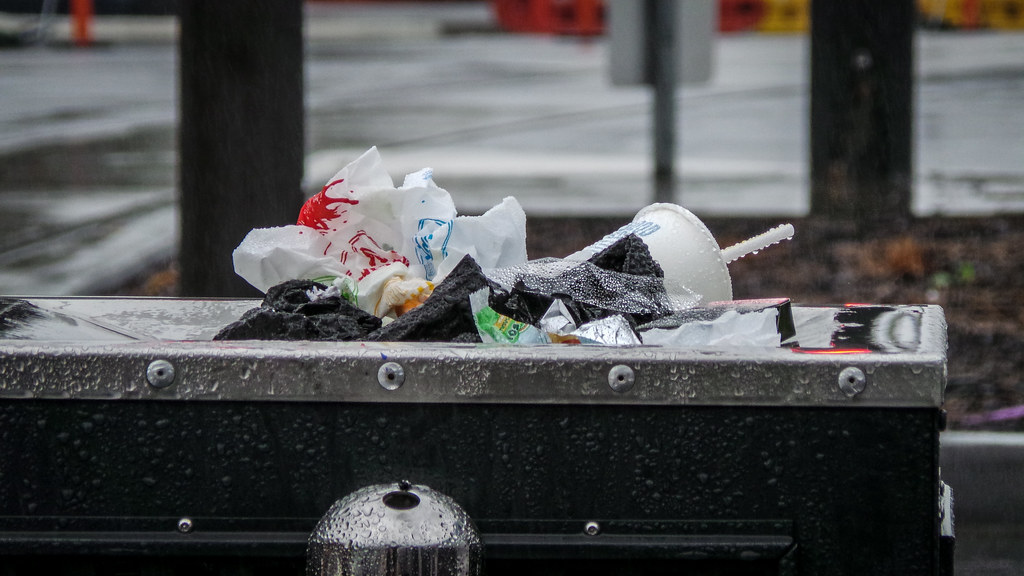 Councillors clash over how to solve City’s waste management crisis