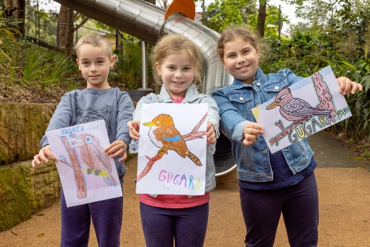 Paddington’s Gugara ‘Kookaburra’ Park renaming reaches Geographical Names Board