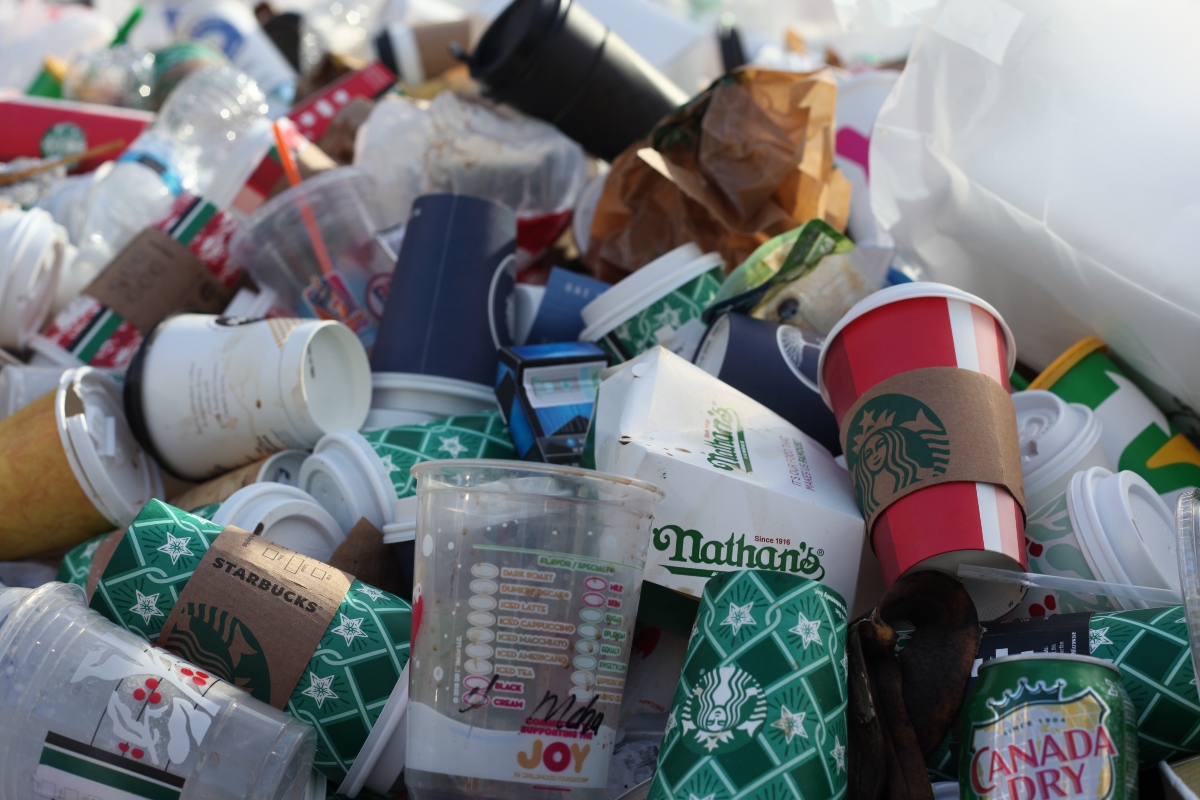 Roadside rubbish swells in inner city, following waste worker strike