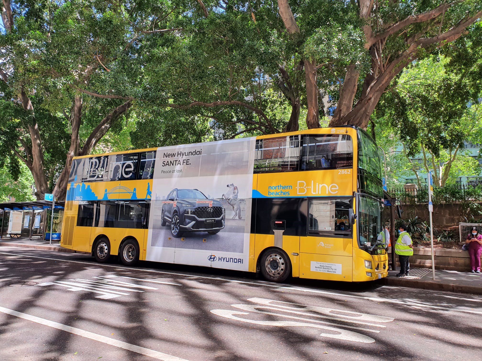 Northern Beaches bus routes canceled due to driver shortages, privatisation to blame