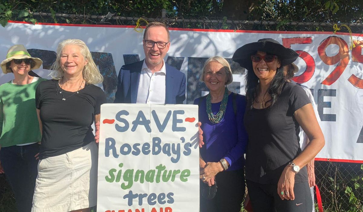 Woollahra Council wants to introduce a tree mandate to fight private waterside mansion tree felling