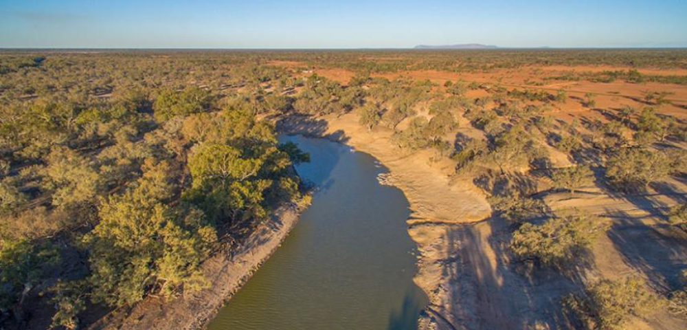 Experts find mass fish kills in the Darling-Baaka River due to ‘unenforced’ environmental laws