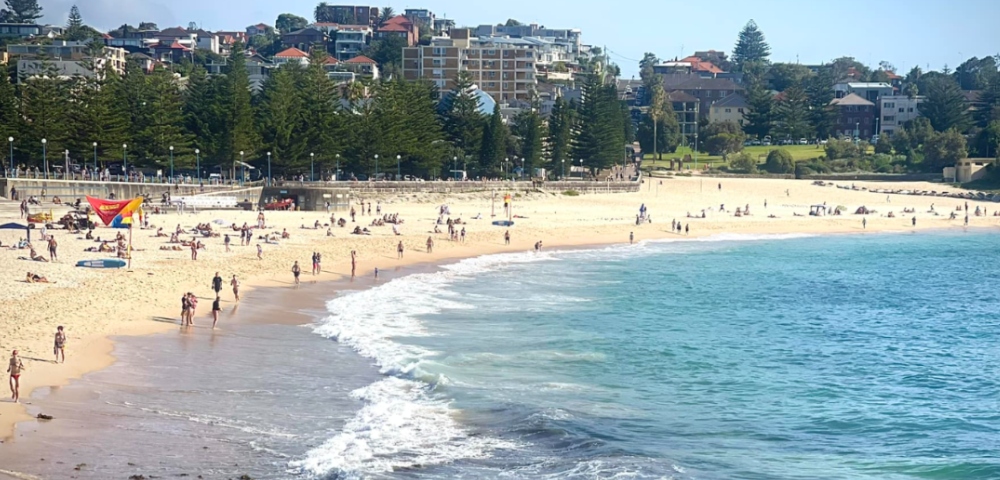 Shark sighting closes popular Sydney beach