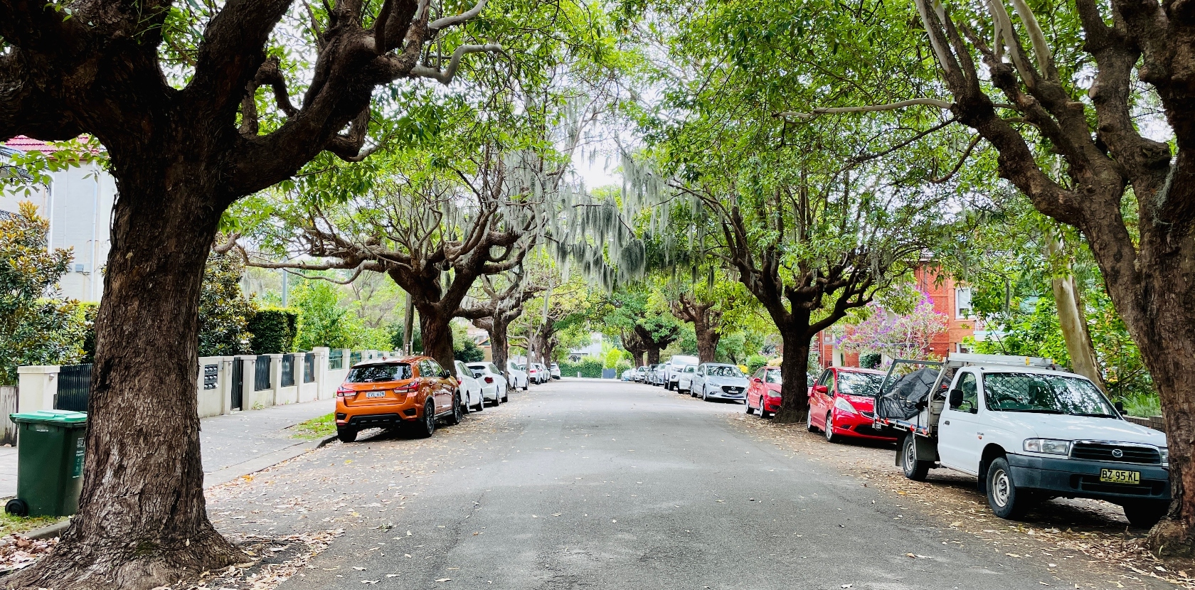 Local Sydney council to become safer with reduced speed limits