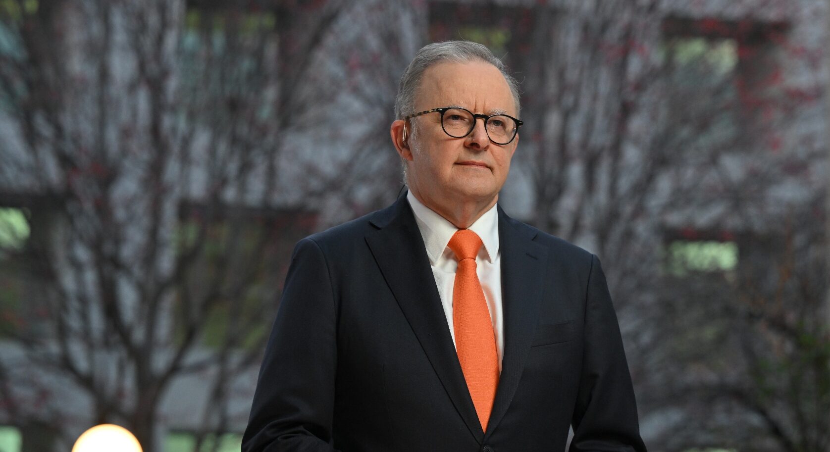 Albanese defends decision to evict tenant from his Dulwich Hill property