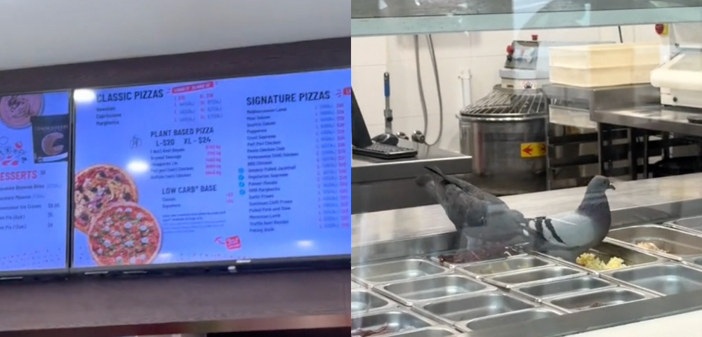 Video Goes Viral of Pigeons Eating Ingredients Inside Sydney Crust Pizza Store