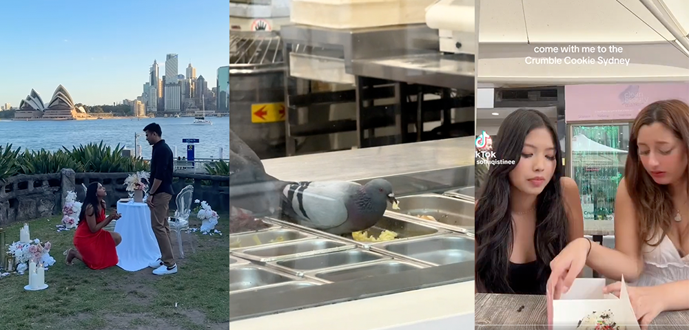 These Are Sydney’s Most Viral Moments of 2024