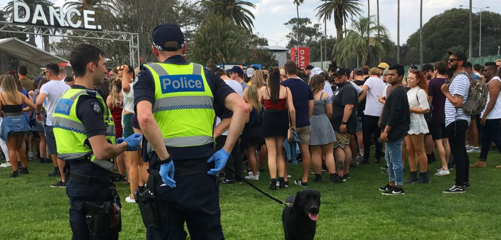 NSW Drug Summit Recommends Scrapping Strip Searches and Sniffer Dogs at Music Festivals