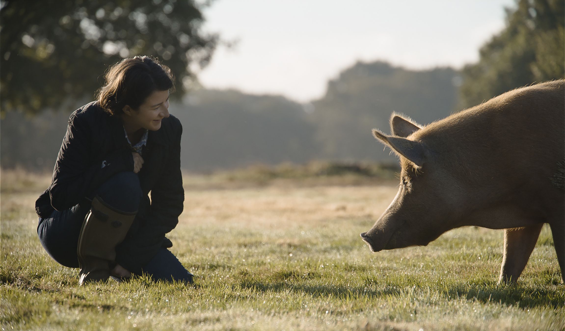 Wilding Explores A Couple’s Radical, Controversial Experiment To Revitalise Farmlands