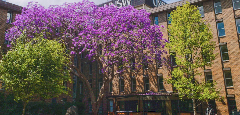 Australian Universities Suffer Fall In Global Rankings