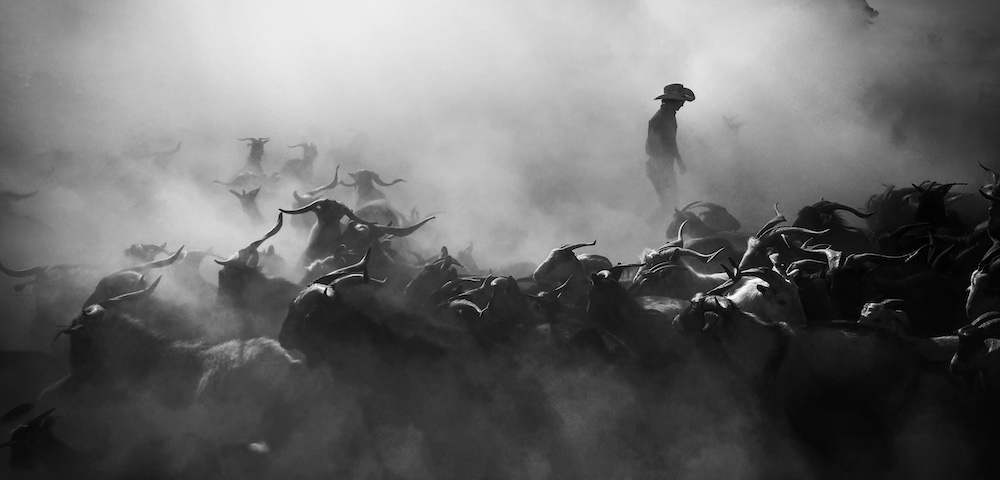 Finalists for City of Sydney Photography Competition Revealed