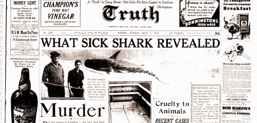Thrilling Coogee Shark Arm Case Becomes An Immersive Mystery