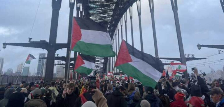 Palestine Protest