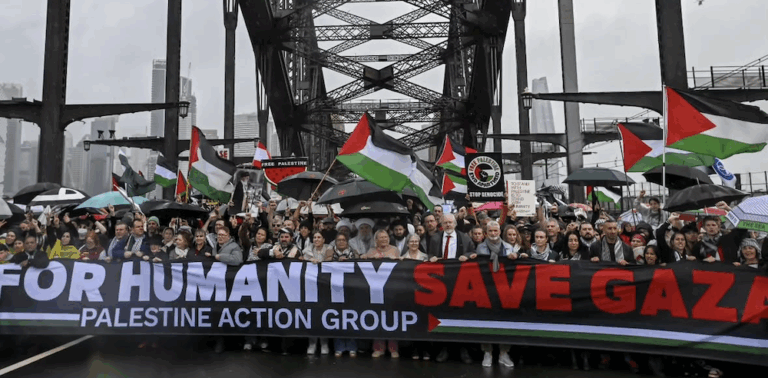 Palestine Action Group protests