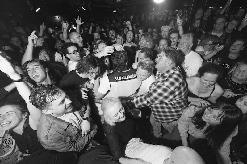 Bad//Dreems
