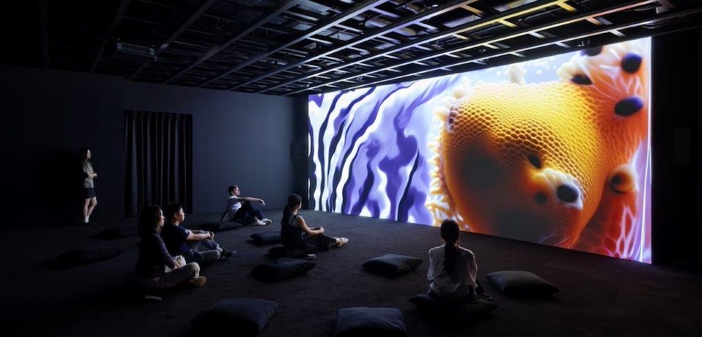 MCA Tackles Artificial Intelligence’s Role In Art In ‘Data Dreams’ Exhibition