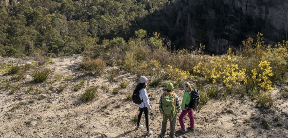 NSW Government Considers Allowing “Supported Camping” In National Parks