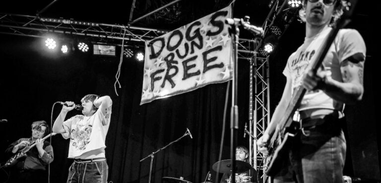 Dogs Run Free