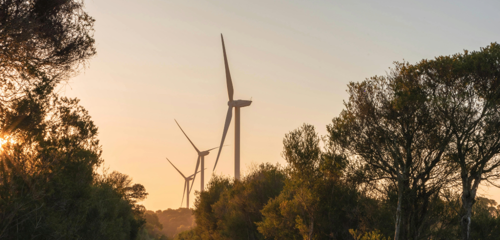 Nationals Ditch 2050 Net-Zero Target, Citing Rural Impacts