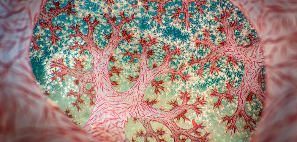 20 Years of Aus Geo Nature Photographer Exhibition: Meet Sydney’s Winners