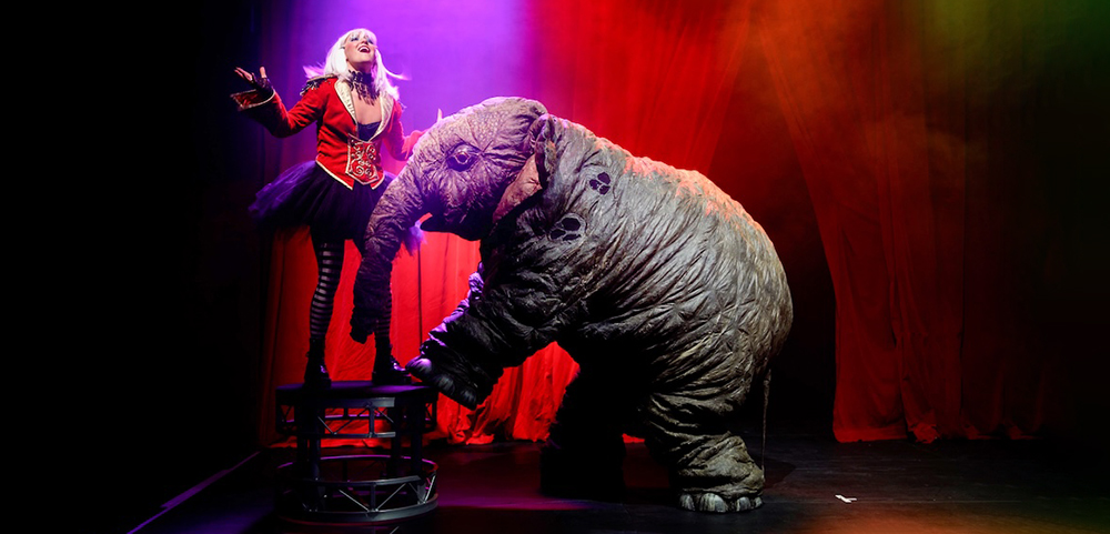 Family Fave SAWDUST Heading To Sydney After Celebrated Adelaide Fringe Run