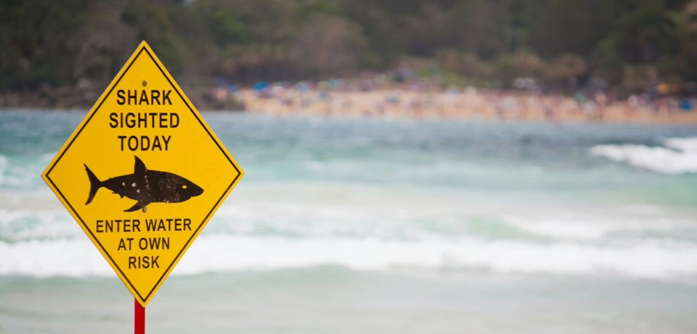 NSW Shark Attacks Prompt $4.2M Boost In Beach Safety