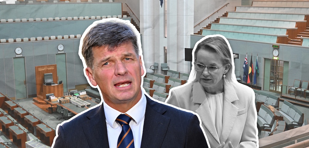 Libspill: Ley Faces Liberal Spill As Angus Taylor Challenges For Leadership