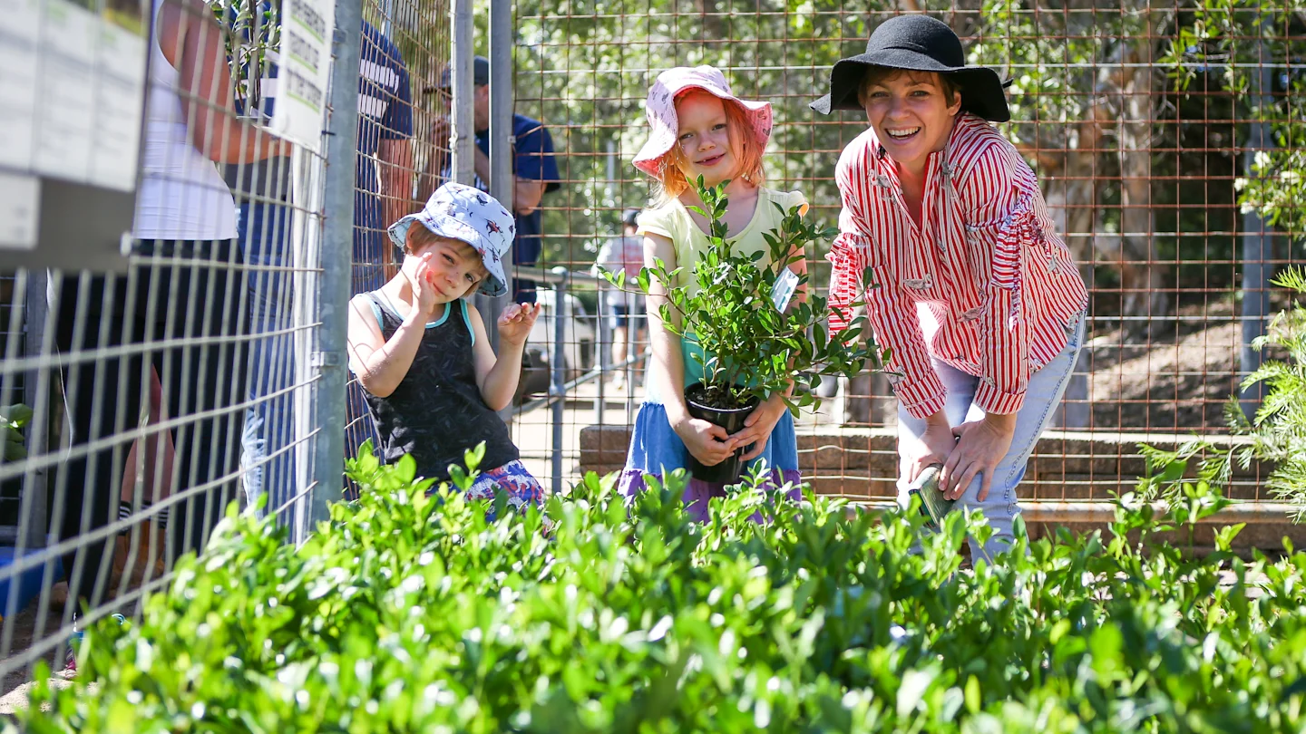 City Of Sydney To Give Trees Away To Residents