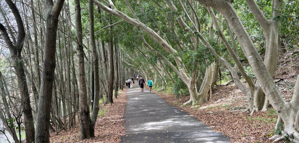 Sydney Greenway’s Final Stretch Sparks Inner West Backlash Over Pedestrian Bottleneck