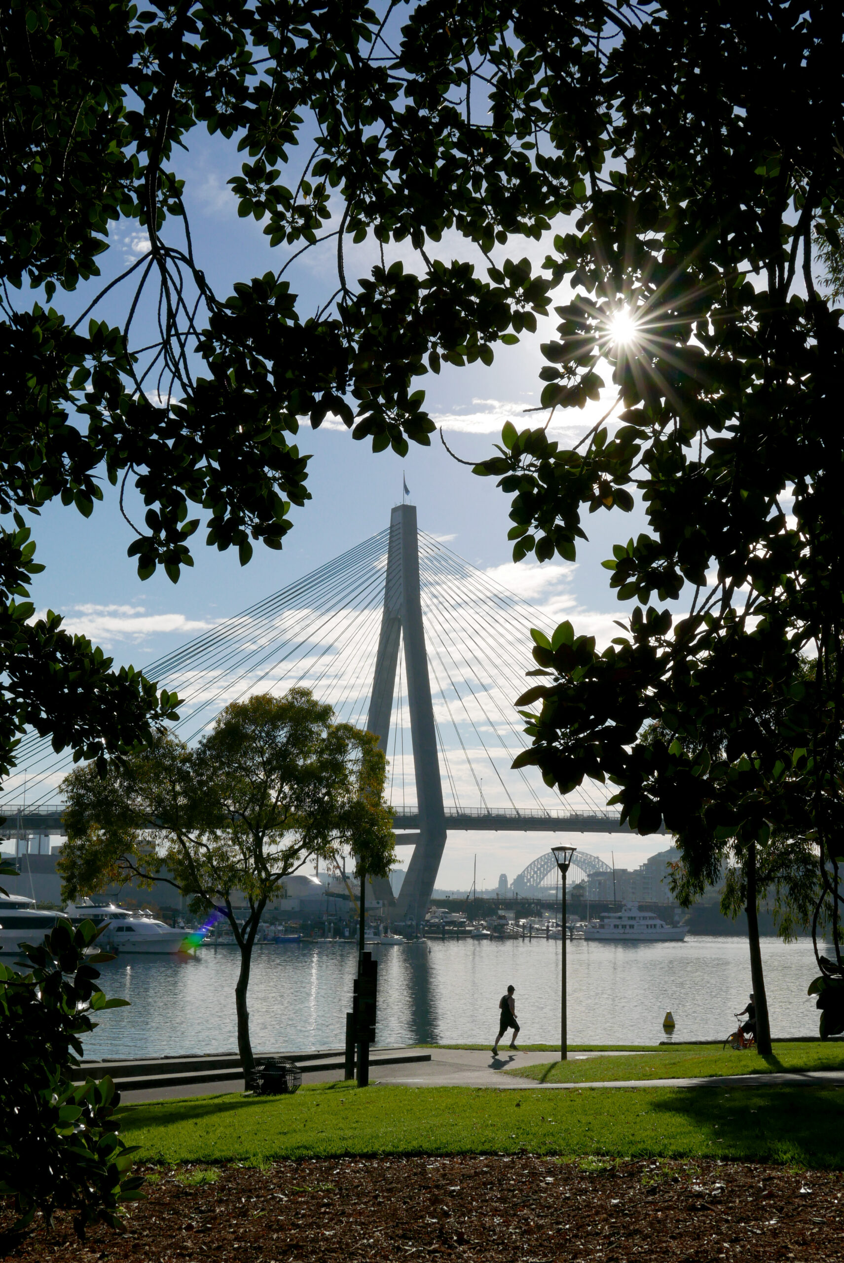 Inner West Council Seeks Feedback On Upcoming Climate Strategy