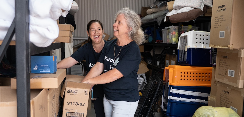 NSW Animal Rehoming Organisations Receive $1.5M In “Life-Saving” Grants