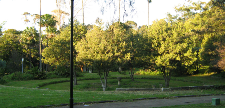 Callan Park